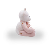 Urso Patch Personalizado M - Coleção Celina Dias Bebê